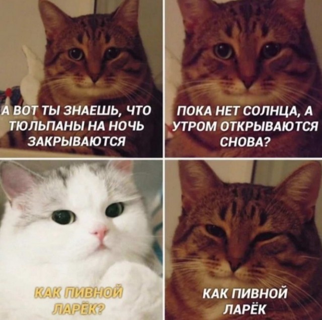 Пара-пара-пам! Фьють. Картинки с надписями
