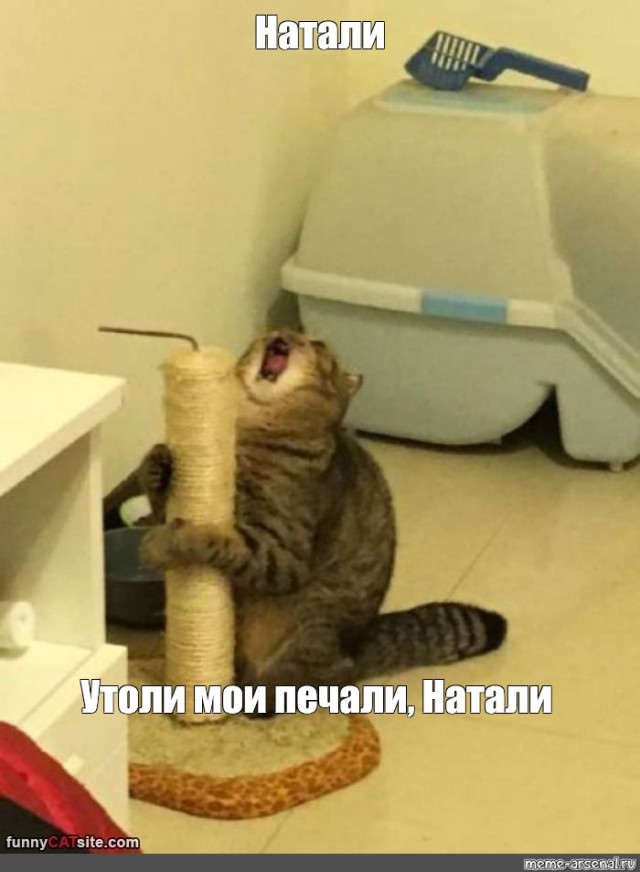 У восьми московских священников выявлен коронавирус 