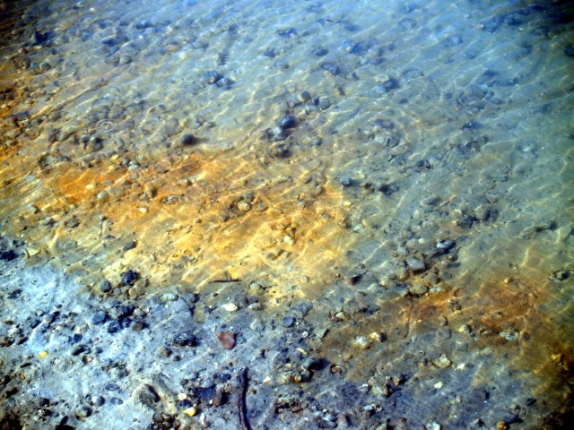 Прогулка по дну Обского водохранилища