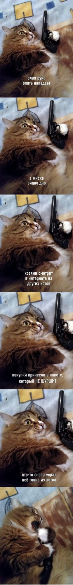 Бредзона 20.10.2020