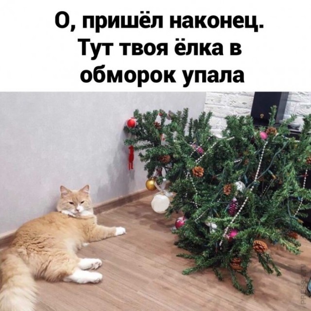 Картинки и мемы для настроения 024