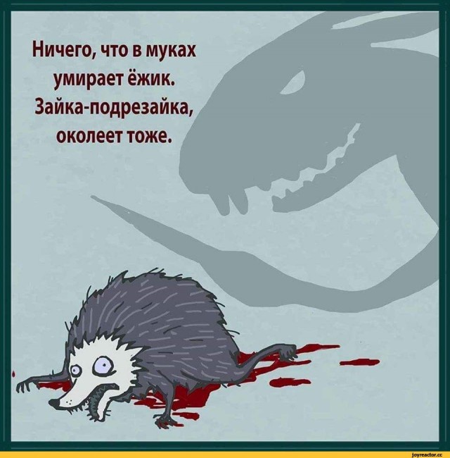 Немного черного юмора 18+