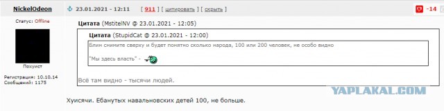 За что на самом деле задержан Навальный