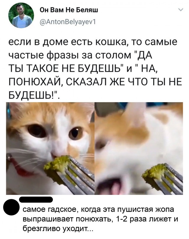 Кретинизмы из сети 10.03.21