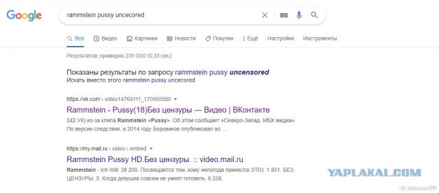 Бывший координатор штаба Навального получил 2,5 года за клип Rammstein