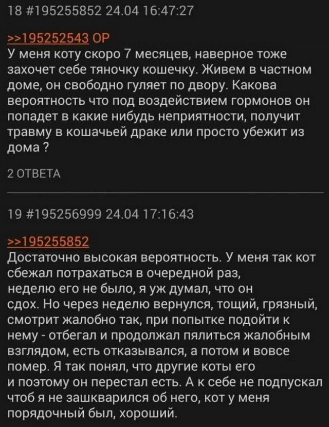 Картинки и мемы для настроения