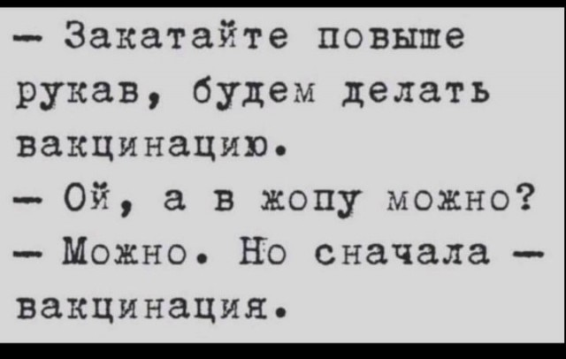 15669172.jpg