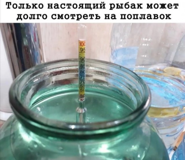 Картинки и мемы для настроения 16.08.2021