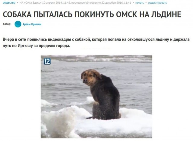 Пандемия. Коронавирус. Россия и мир. Последняя информация. Часть 24