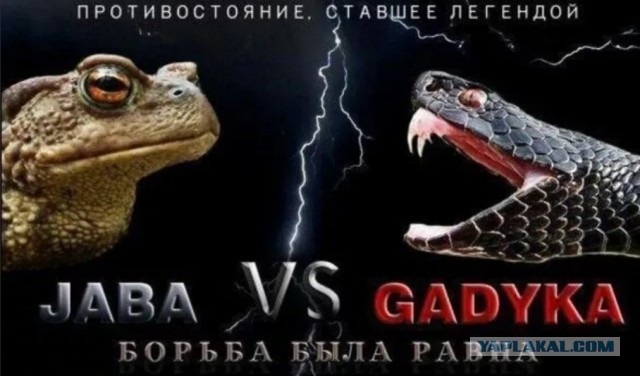 Иосиф Пригожин вызвал на бой Сергея Шнурова