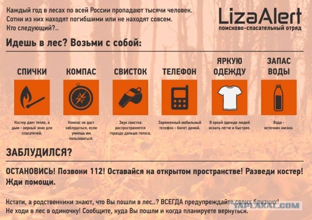 Фестиваль грибников
