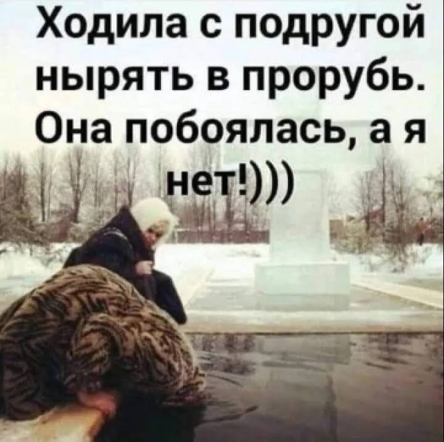 Человек собаке друг и другие картинки и мемы  под настроение