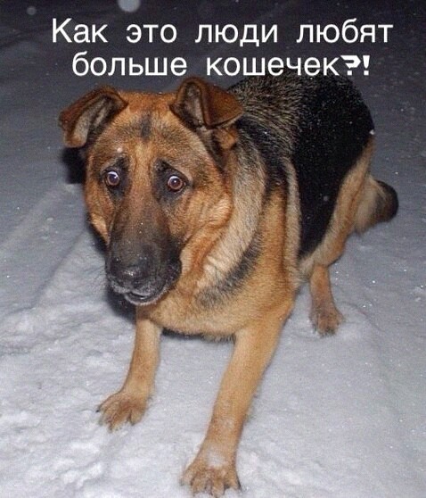 Так себе картинки 23.02.22