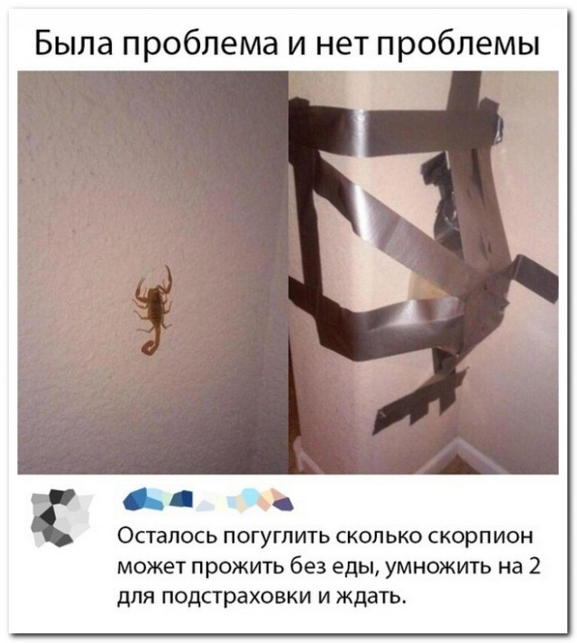 Забавные комментарии из социальных сетей 28.03.22