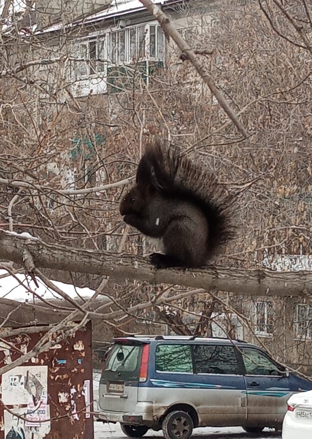 Фотки с телефона.