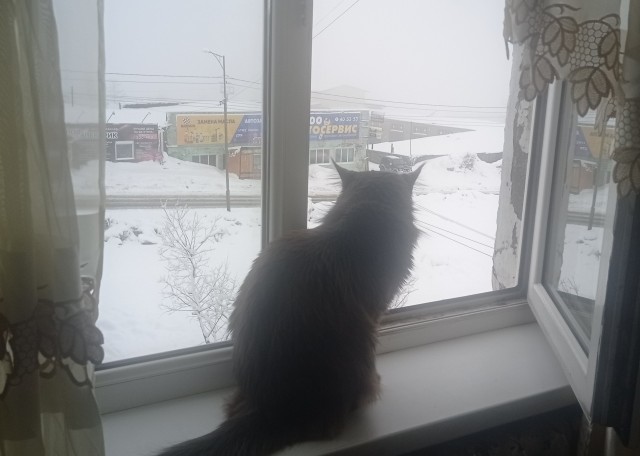 Фотки с телефона.