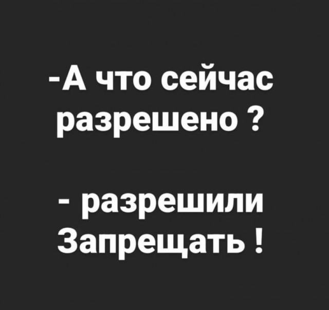 Весёлый полтишок 11.04.22