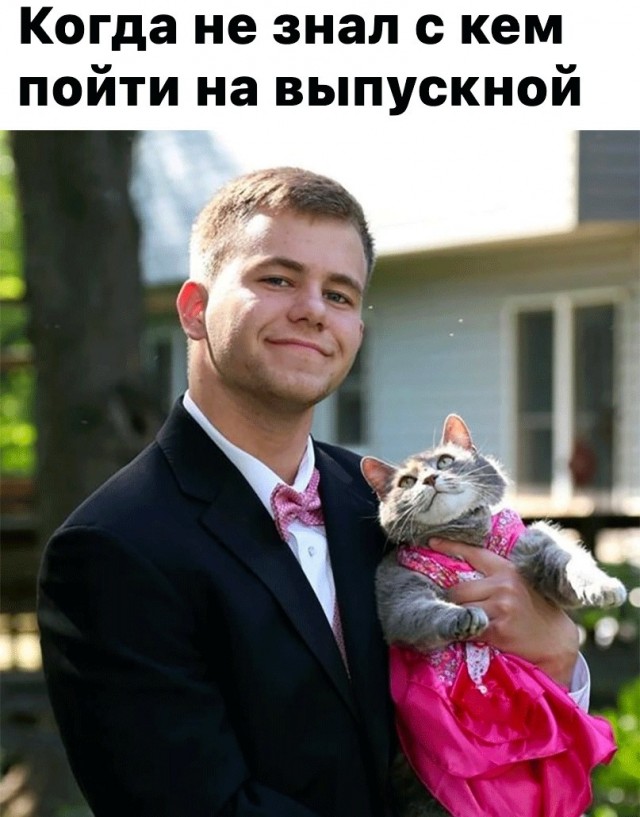 40 картинок разных 15.04.2022