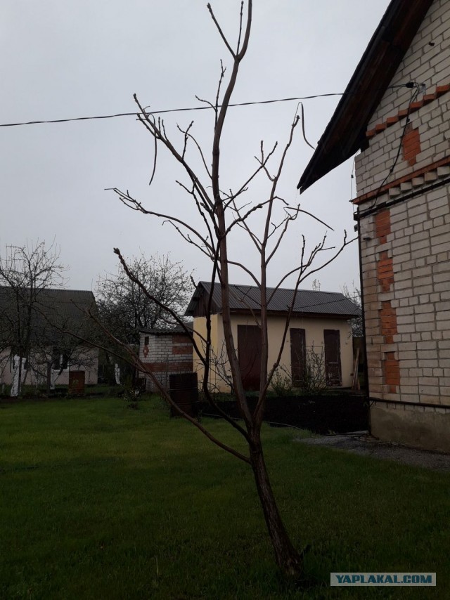 Застрял на даче, дождь