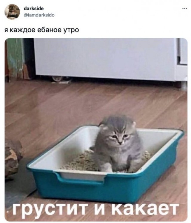 Картинки и мемы, начало праздников