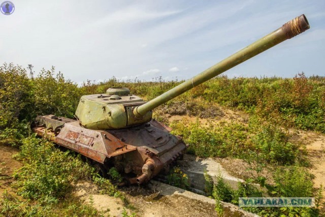 Редчайший танк ИС-2М с ломанным носом: заброшенная на Сахалине рота танковых огневых точек ИС-2 "Стародубское"