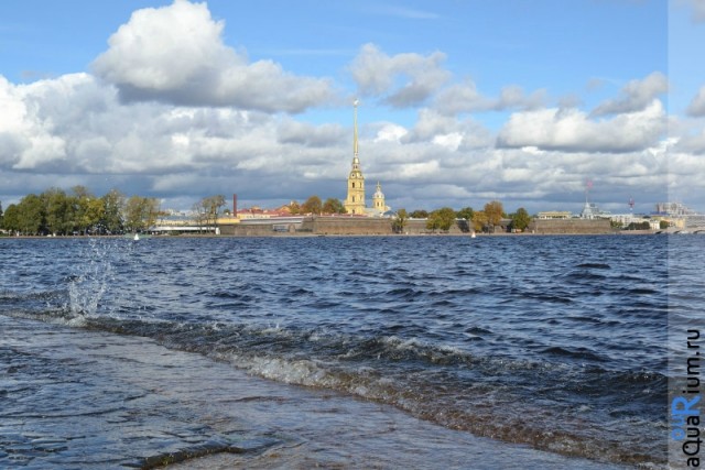 СПб глазами уставшего туриста...