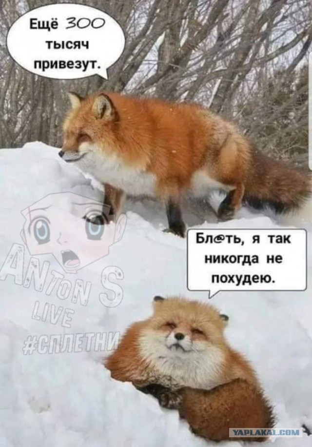 В России в рамках частичной мобилизации призвали свыше 200 тыс. человек