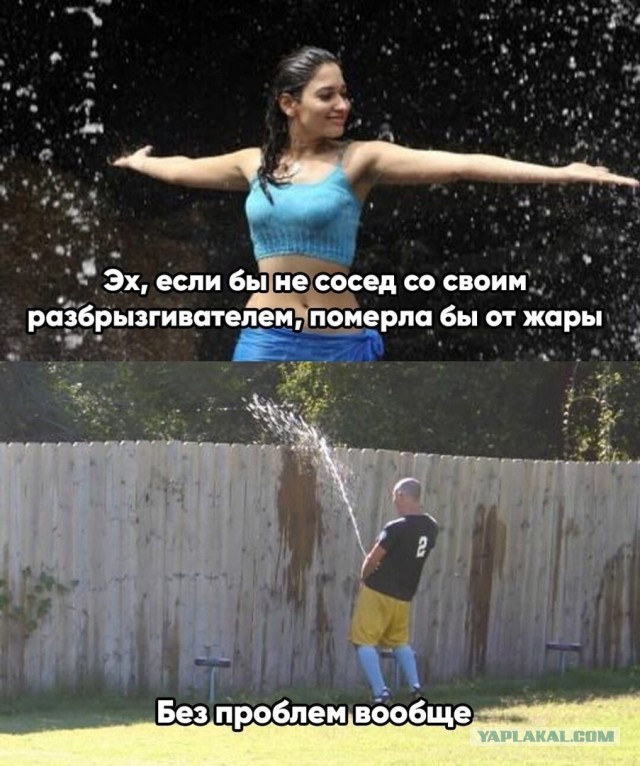 Так себе картинки 17.10.22