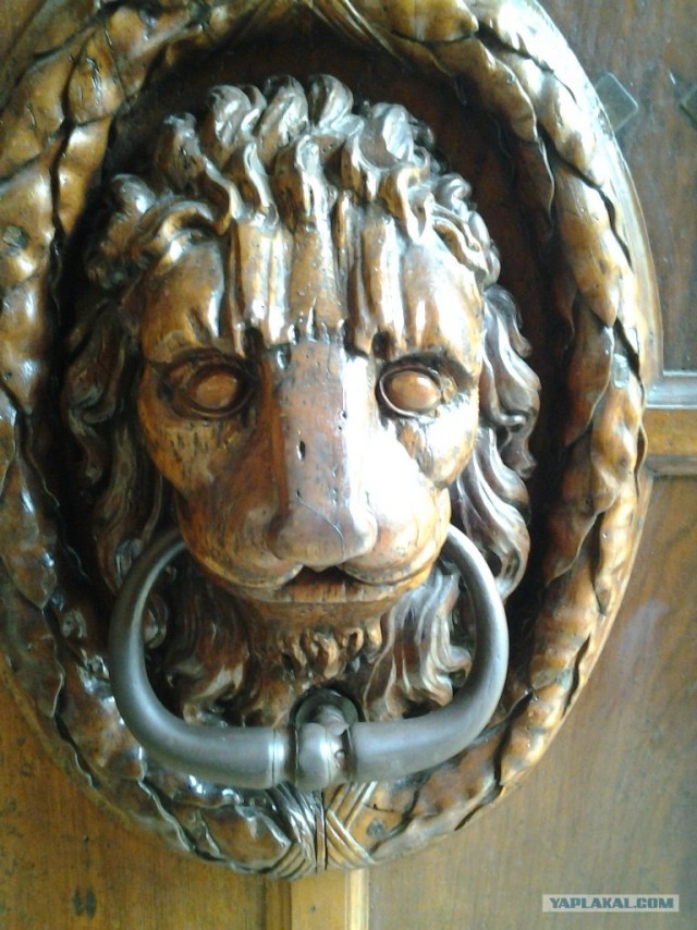 В поисках такси