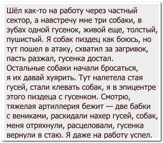 Забавные комментарии из социальных сетей (21.11.22)