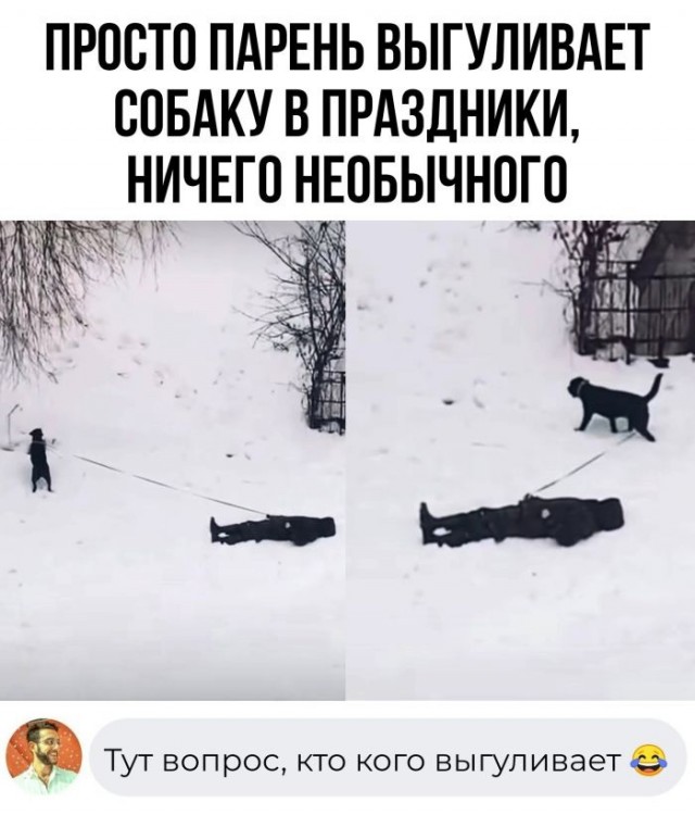 Так себе картинки 14.01.23