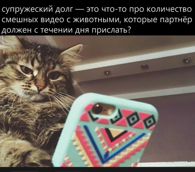 Почему женщины влюбляются в плохих парней, а выбирают хороших: ученые дали ответ