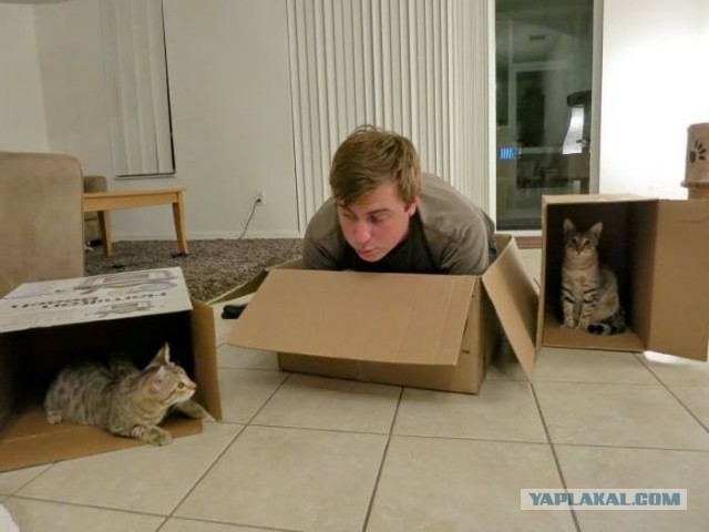 "Так, девки, подвинься!"