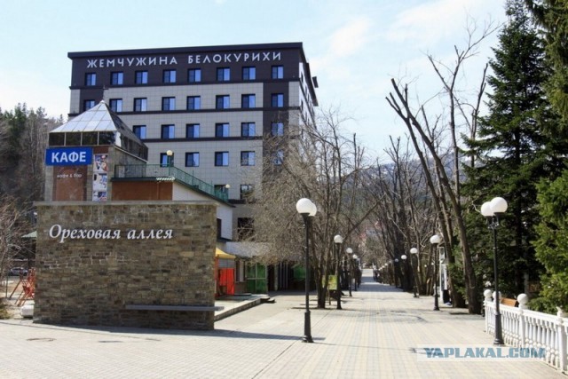 Маньчжурский орех