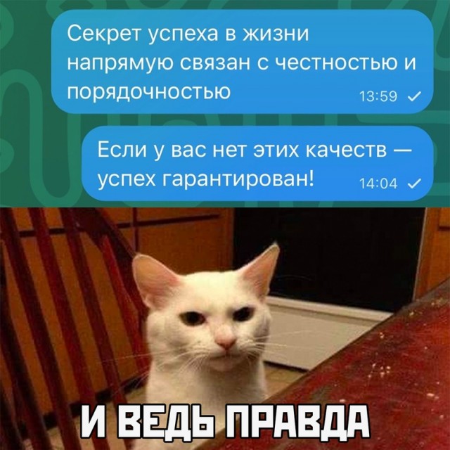 Весёлый полтишок 12.07 23