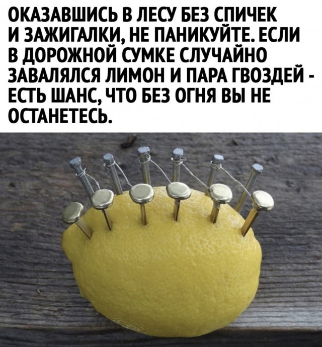 Так себе картинки 21.07.23