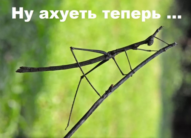 В России прекратят сажать за пиратское ПО. Готовятся архиважные изменения законодательства