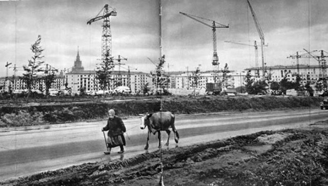 Москва и москвичи. Двадцатый век