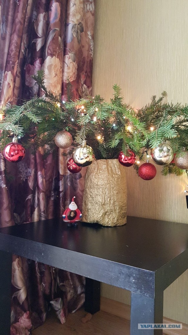 Показываем свои деревья