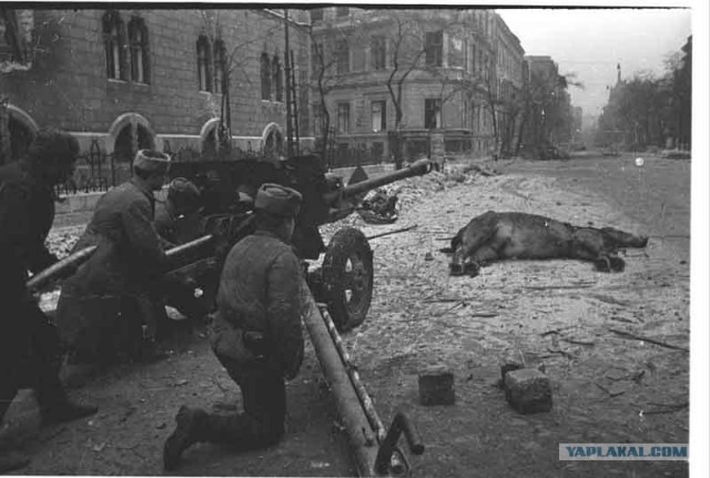 Дорогами войны ... (текст + 100 фото)