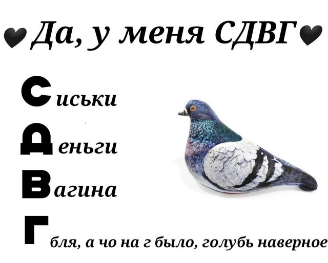Всего понемногу. От 30.09.24