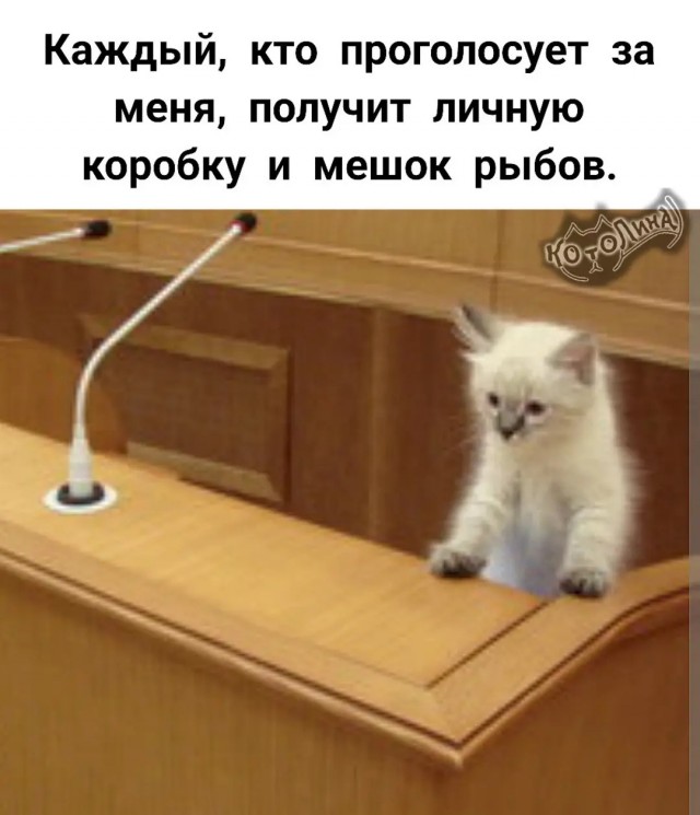 Нуштош 04.10.2024