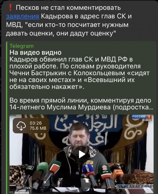 Банда Муслима: За кого вступился Кадыров, пойдя против Бастрыкина и Колокольцева?