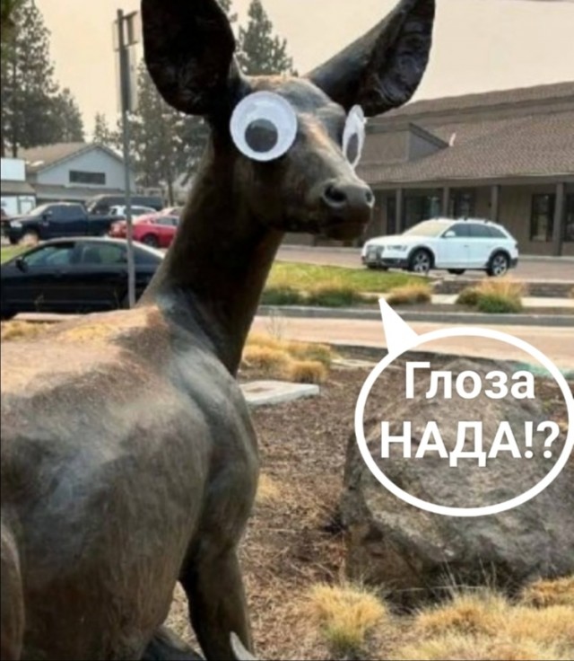 В штате Орегон неизвестные портят скульптуры, наклеивая на них выпученные глаза
