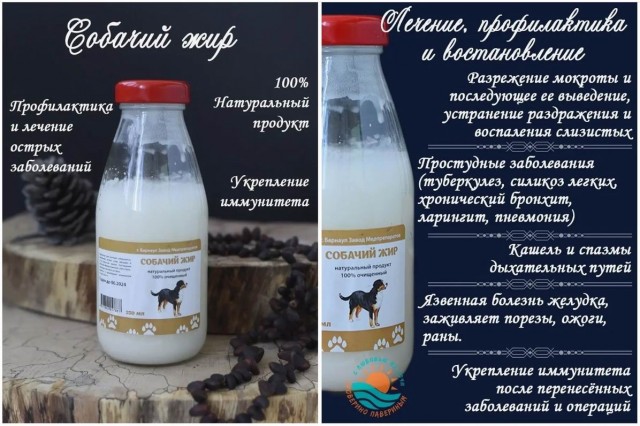 Появилось видео нападения собак на девочку