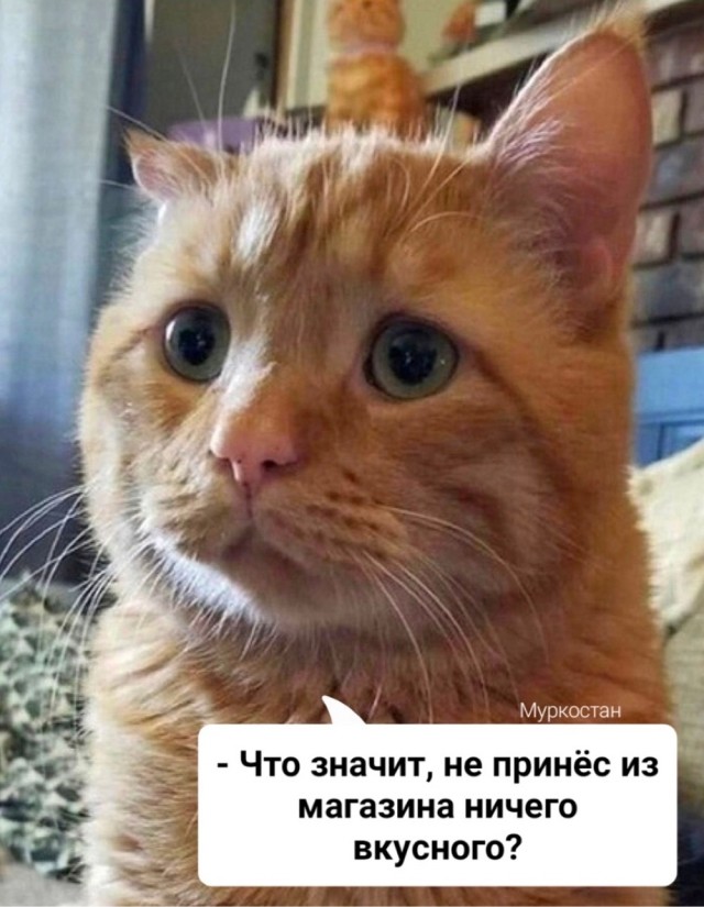Так себе картинки 22.03.25