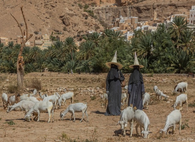 Женщины-пастухи