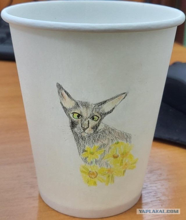 Картинки животных.
