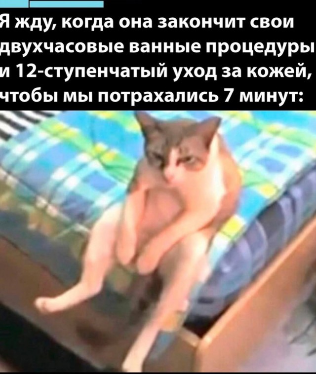 Веселые картинки в маленькую пятницу (05.11)
