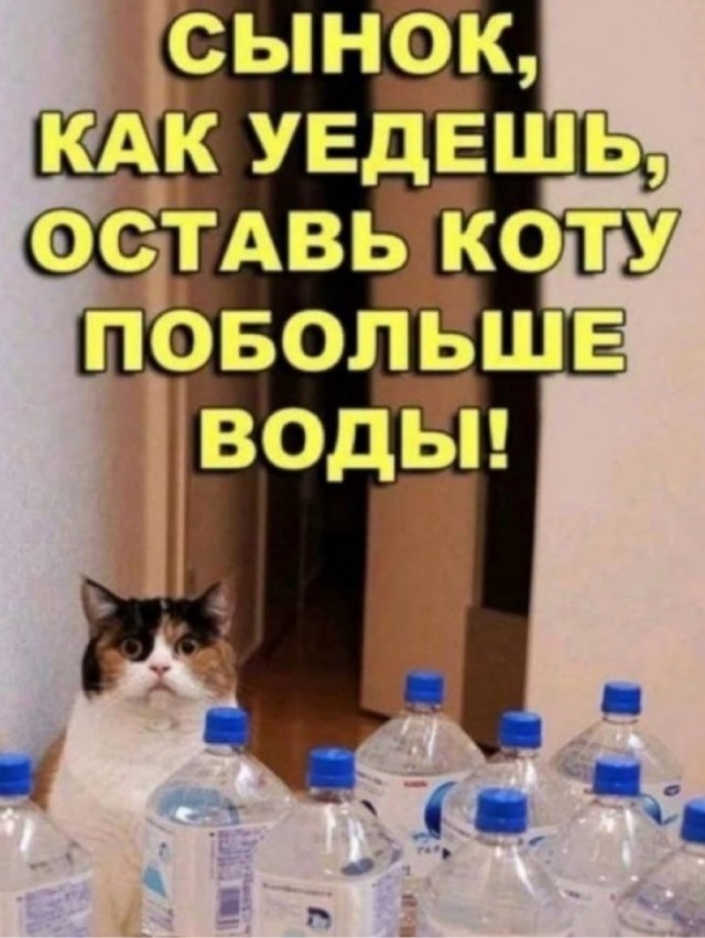 Картинки понедельника